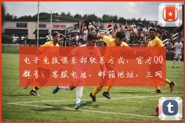 电子竞技俱乐部联系方式，官方QQ群号，客服电话，邮箱地址，三网通管一网