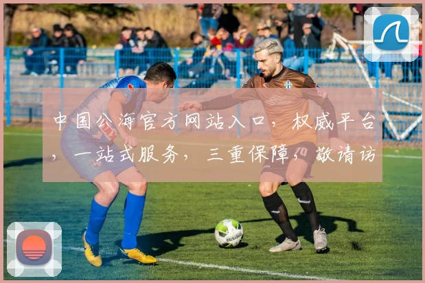 中国公海官方网站入口，权威平台，一站式服务，三重保障，敬请访问，体验非凡