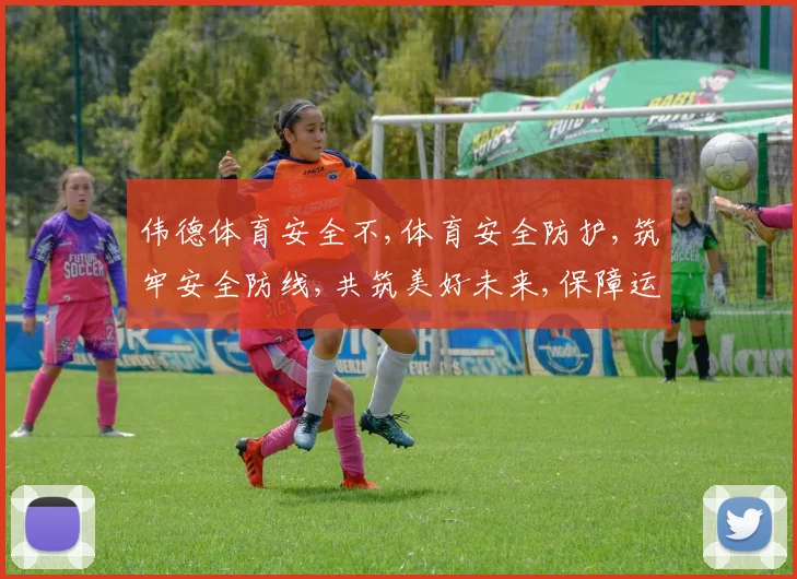 伟德体育安全不,体育安全防护,筑牢安全防线,共筑美好未来,保障运动无忧。