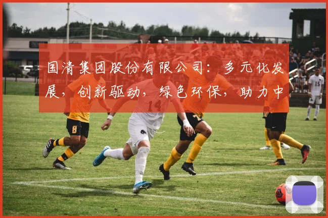 国清集团股份有限公司：多元化发展，创新驱动，绿色环保，助力中国实体经济腾飞