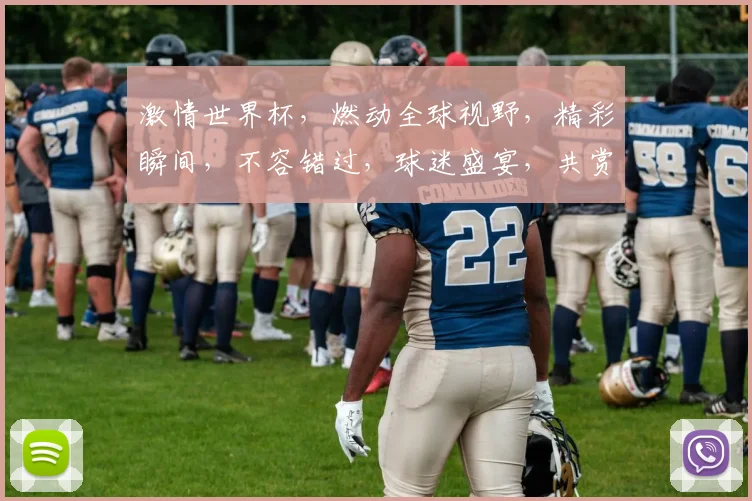 激情世界杯，燃动全球视野，精彩瞬间，不容错过，球迷盛宴，共赏盛宴，热血对决